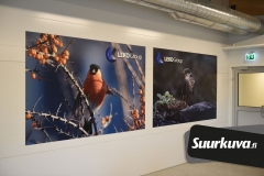 LekoGroup-sisustusteippaukset-sisustusteippaus-sisustustaulut-sisustustaulu-tulosteet-suurkuva-jips-13