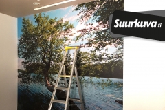 Sisustusteippaukset-sisustusteippaus-sisustustaulut-sisustustaulu-tulosteet-suurkuva-jips-38